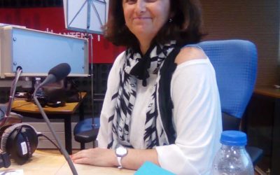 INETE e OPTIBEST na Antena 1