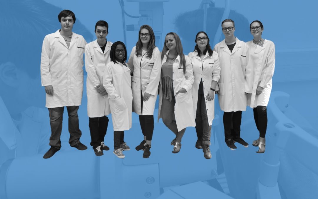 Abertura da OPTIBEST