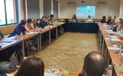 Conselho Consultivo do INETE